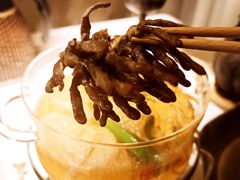 -叶叶菩提·晋福宫