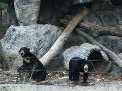 -清迈夜间动物园