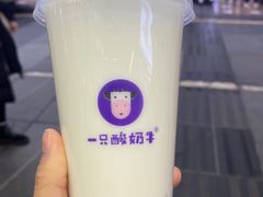 -一只酸奶牛(八一路店)