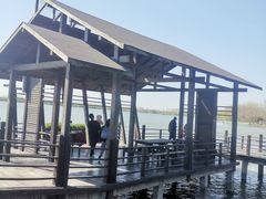 -溱湖国家湿地公园