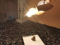 -千代武日本料理(爱建店)