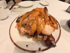 -凯鸽酒楼(操场城店)