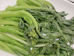 生炒菜心-今一靓汤.顺德菜东莞三十年老字号(厚街店)