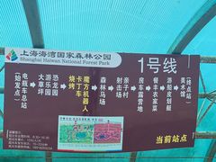 -上海海湾国家森林公园