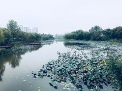 -新江湾城公园