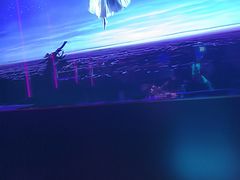 -温莎KTV(国贸店)