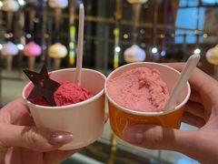 覆盆子冰淇淋-VENCHI 闻绮(北京国贸商城店)