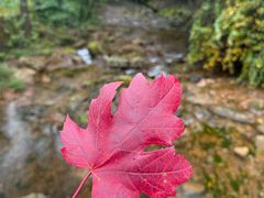 -丹东天桥沟景区