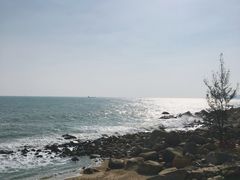 -广东惠东海龟国家级自然保护区