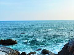 -广东惠东海龟国家级自然保护区