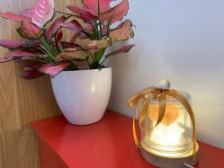 -芳朵美容养生SPA