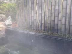 -西安国际创新人才交流中心•药浴温泉