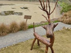 -中国天府农业博览园