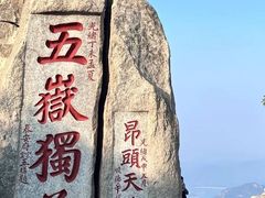 -万达广场(泰安泰山店)