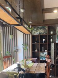 -青青一生美皮肤管理