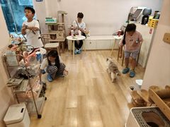 -猫咪派对(江南西店)
