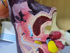 -北京赛佳动物医院