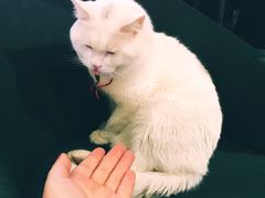 -PCA专业咖啡技能训练营(西南重庆总部)