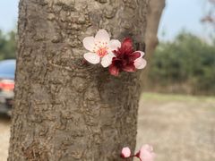 -沣峪口