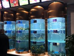 -香坝坝鲜鱼火锅(春熙路店)