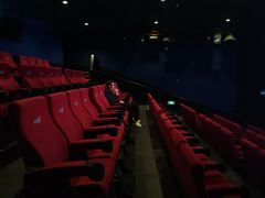 -万达影城(闵行颛桥万达广场杜比影院店)