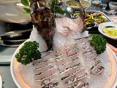 现杀鱼片-金龙·打边炉(南京西路店)