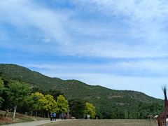 -北京西山国家森林公园