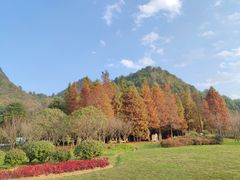 -贵阳市花溪国家城市湿地公园