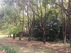 -高桥特色小吃