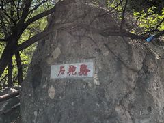 -阳台山自然风景区