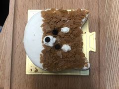 -柴迷FANS CLUB·柴犬狗咖·猫咖