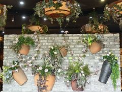 -花溪雨·森林餐厅(石基店)