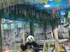 -栾川竹海野生动物园