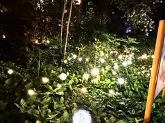 -丰泰花园酒店热矿泉