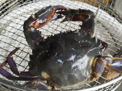 -海味当家·蒸锅海鲜(星海公园店)