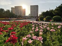 -长春公园(普阳街道)