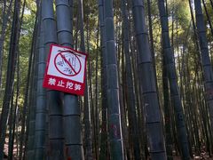 -杭州黄龙洞