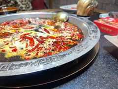 -渝大狮毛肚老火锅(普陀店)