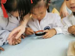 -上海市浦东新区恒宇幼儿园(杨南部)