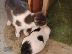 android_upload_pic-MIKAKU(万达广场上海宝山店)