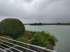 -贡湖湾湿地公园