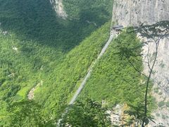 -鹿院坪生态旅游景区