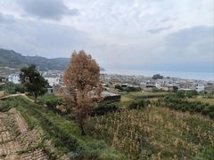 -大理洱海