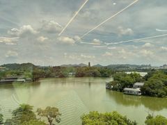 -有心德(麦地店)