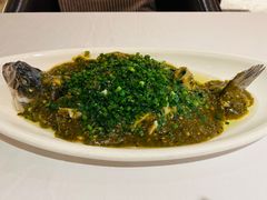 烧椒鲈鱼-尘香•传统川菜(创汇首座店)