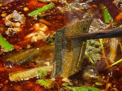 -小饕荟雅安贡椒鱼鲜馆(广福桥店)
