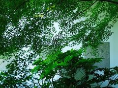 -杭苑(正佳广场店)