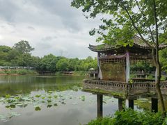 -老木棉·匠园