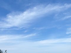 -石老人观光园