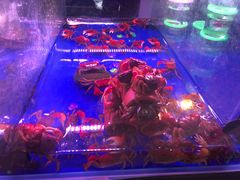 -三旗百汇商品城